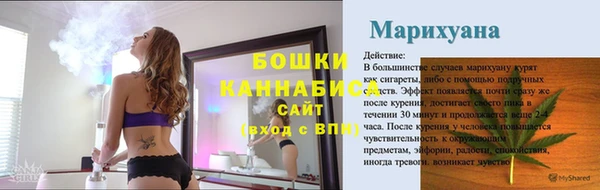 ешки Горняк