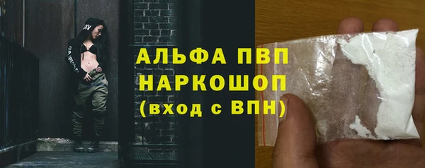 ешки Горняк