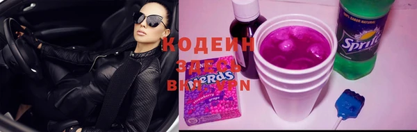 ешки Горняк