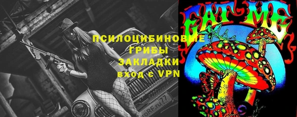 ешки Горняк
