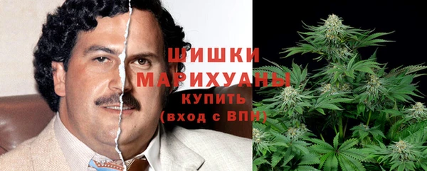 ГАЛЛЮЦИНОГЕННЫЕ ГРИБЫ Горнозаводск