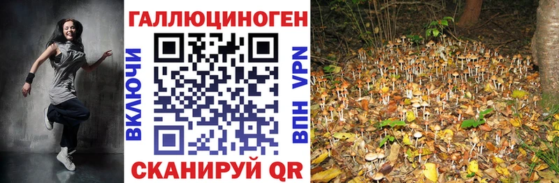 купить наркотики сайты  Томск  Псилоцибиновые грибы Cubensis 